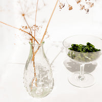 Youth Fountain<br> 2 Bottles